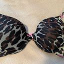 Betsey Johnson Betsy Johnson Intimates Cheetah Bra 34B Photo 1