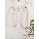 BCBGMAXAZRIA  Light Pink High-Waisted Paperbag Pleated Belted Shorts Size Small Photo 4