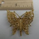 Monet Vintage Butterfly Filigree Brooch Pin Figural Insect Flying Wing Gold Tone Photo 5