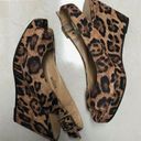 Brash  leopard wedges Photo 0