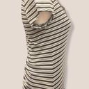 Splash 5/$25  Black & White Striped Short Sleeve Top Medium NWT Photo 1