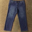 cj banks  Jeans Sz 24W Used Photo 0