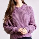 Elizabeth and James  Purple Shimmer Crewneck Sweater XS Photo 0