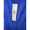 Tiana B  ROYAL BLUE LACE OVERLAY SLEEVELESS DRESS LINED WOMENS SIZE XL NWT Photo 5