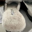 Jimmy Choo  Black Suede fur lined Ramona Shoe slide w crystals 39.5 NIB Photo 7