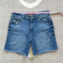 DL1961 Cecilia Classic Denim Shorts in Lambert Photo 2