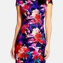 Betsey Johnson  Cap Sleeve Floral Scuba Midi Dress Photo 0