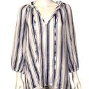 Harvé Benard Harve Benard Sheer Blue and White Striped Blouse Size 1X Photo 0