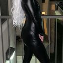 Windsor Catwoman Costume Photo 0