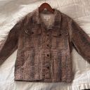 Dear John Leopard Cheetah Print Jacket Coat Denim Jacket Trendy Photo 2