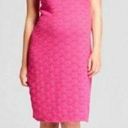 Isabel Maternity NWOT  Women's Lace Lined Dress Photo 0