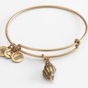 ALEX AND ANI  Conch Shell Gold Bracelet Photo 0