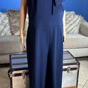 Harper  ROSE Scarf Neck Crepe Jumpsuit Photo 6