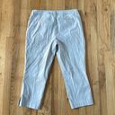 Eliane Rose  striped slacks trousers cropped pants size 14 Photo 4