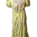 Daisy Vtg 1960s Pale Yellow  Floral Dot Textured Puff Sleeve Maxi Prairie Dress 2 Photo 3