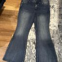 Buckle NWOT  Flare Jeans Photo 0