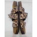 American Eagle  Leopard Strappy Sandals Size 7 Photo 2