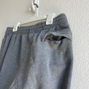 Nike Grey  Sweatpants Photo 5