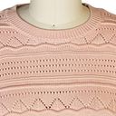 Petal NWT -  Ladies Pink "Spring " Summer Cotton Sweater NWT ~ Women's Size L Photo 3