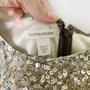 Boston Proper Champagne Sequin Dress Photo 8