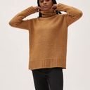 Everlane  The Cloud Oversized Turtleneck in Heathered Chai Medium New Sweater Photo 0