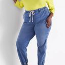 Lane Bryant  Boyfriend Jogger Jeans Photo 2