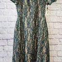 Kensie  Womens Size 2 Green Embroidered Lace Fit & Flare Midi Dress Photo 0