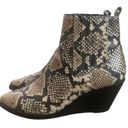 Treasure & Bond  Wedges Boots Faux-Snakeskin Print Ankle Booties Black Tan 7 Photo 3