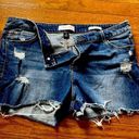 Skinny Girl Women’s Distressed Jean Shots; ; Like New. size 31 Photo 0