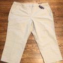 Lane Bryant  Crop Pants Womens Size 18 Khaki Stretch NWT Photo 0