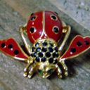 Joan Rivers  Crystal LADYBUG BEE PIN Brooch Red Black Pave Crystal Gold Lady Bug Photo 3