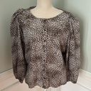 Mango  MNG Animal print blouse NWT Photo 1