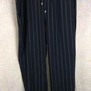 DKNY Blue Striped Pants L NWT Photo 0