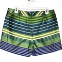 J. McLaughlin  Striped Rayon Blend Shorts Size 10 Green Blue Photo 1