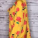 Isaac Mizrahi  Live! Size XL Floral Print Tie at Neckline Long Sleeve Blouse Top Photo 2