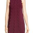 Ted Baker  Rickrack Scalloped Rianori Shift Dress NWT in Size 5 (12) Photo 0