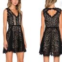 Heartloom  Sienna Lace Fit and Flare Black Eyelash Mini Dress Size Medium NEW Photo 1