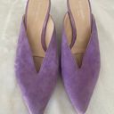 Kate Spade New York Womens Cori Pop Suede Clog Lilac purple shoe Photo 1