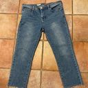 Pilcro  cropped straight leg jeans size 31 Photo 0