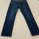 Banana Republic  Denim Blue Girlfriend Jeans Size Women's 24/00 Photo 0