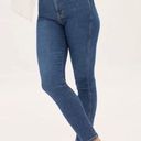 Everlane  The Way High Skinny Jean Size 28 Photo 1