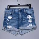 American Eagle Outfitters Shorts Photo 0