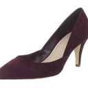 Loeffler Randall  Tamsin Pointed Toe Pumps Mid Heel Stiletto Suede Bordeaux 8.5 Photo 0