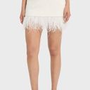 Frame NWT  White Crochet Feather-Trim Mini Skirt. Size Medium Photo 5