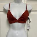 Forever 21 Rust Triangle Bralette Photo 1