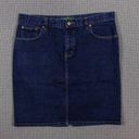 Ralph Lauren Lauren  Petite Denim Skirt Photo 0