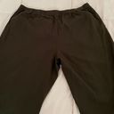 Orvis NWT  Brown Pull On Elastic Waist Tencel Pants, size XL Photo 8