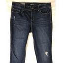 Style & Co  Skinny leg Blue Jeans Distressed Pants Photo 2