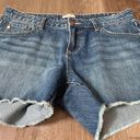 Dear John Madison Girlfriend cut off denim jean shorts women’s size 29 Photo 7