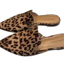 Banana Republic  Factory Cheetah Slide Mules Photo 4